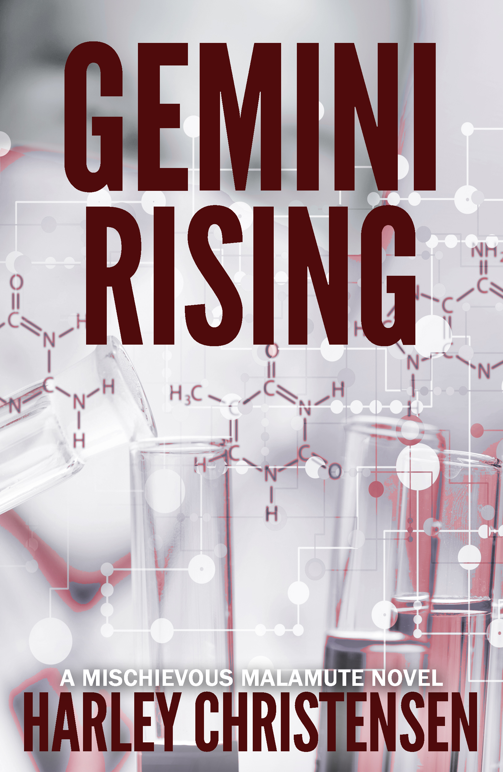 Cover for Gemini Rising